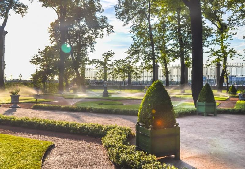 Conseils d'experts pour une taille de haies r&eacute;ussie &agrave; BUSWILLER